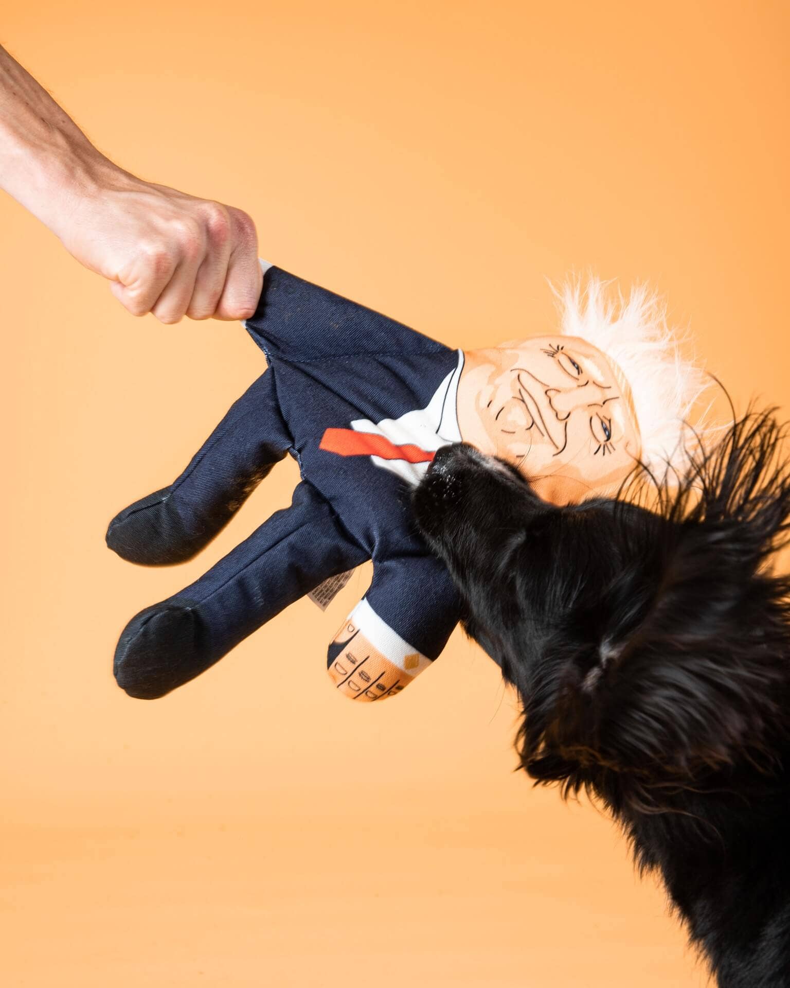 Donald Trump Dog Toy: Regular
